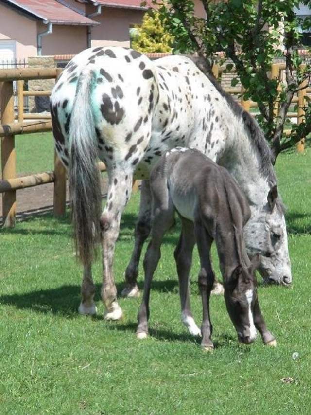 227162_1045934670587_1292263772_30165850_3195784_n